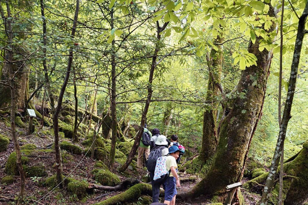 放課後等デイサービス